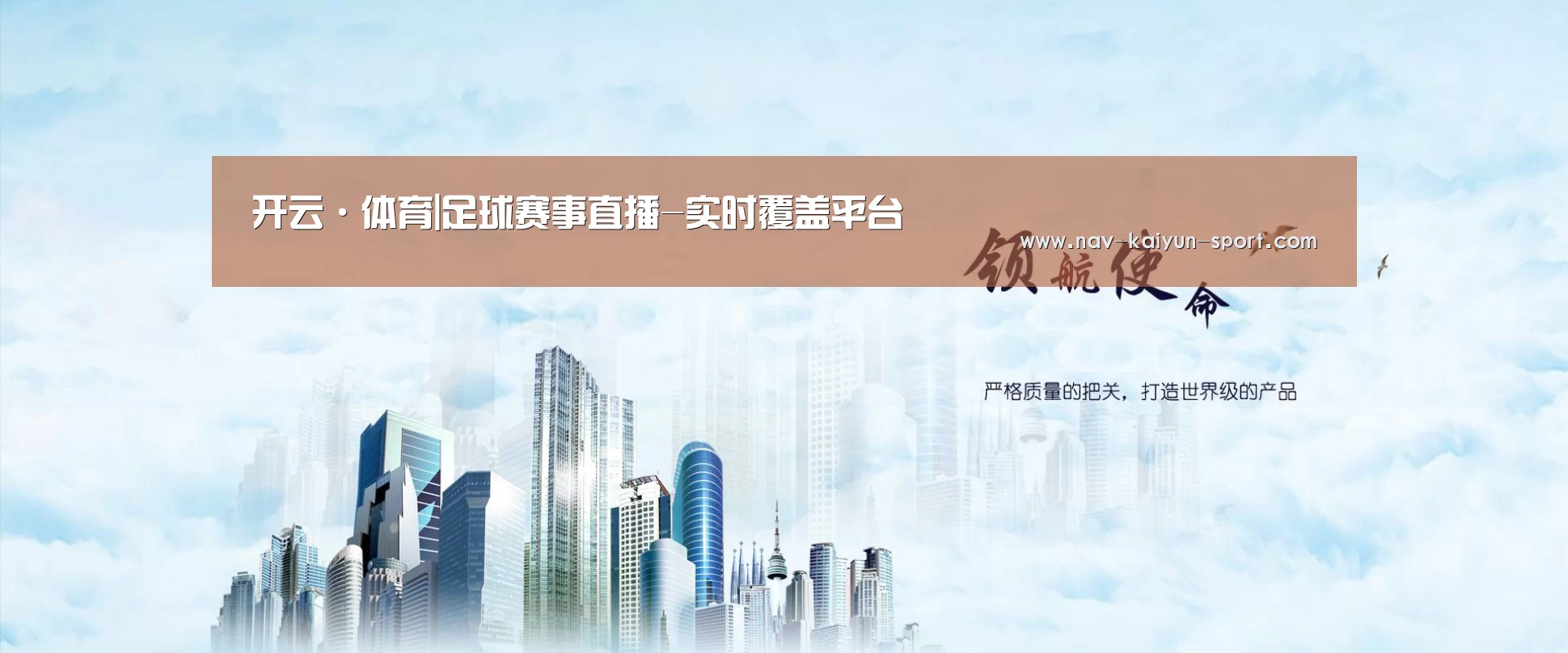 开云公司