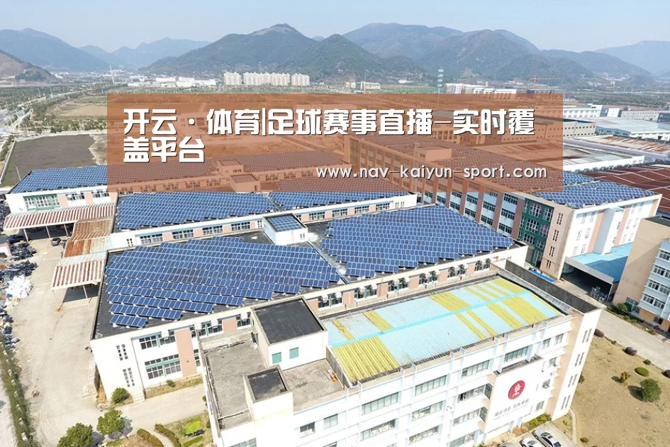 案例展示二
