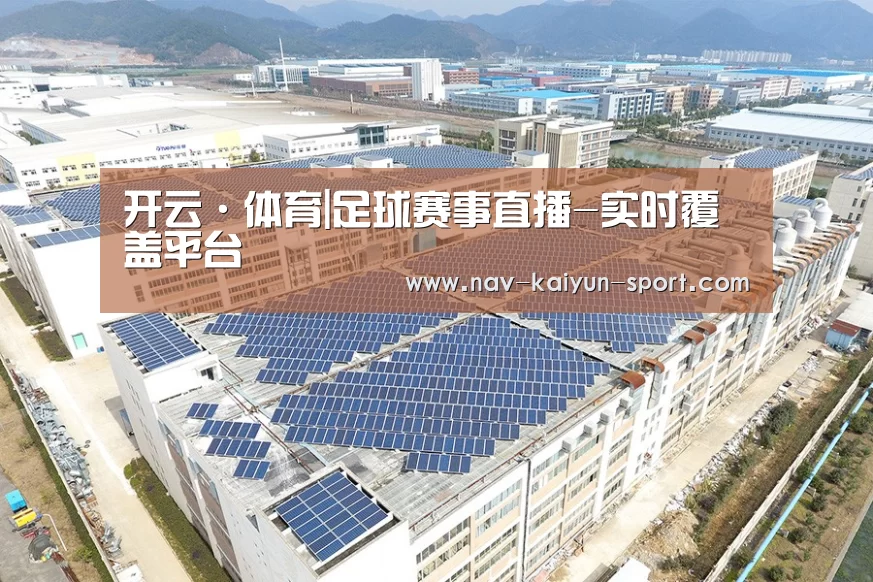 案例展示三