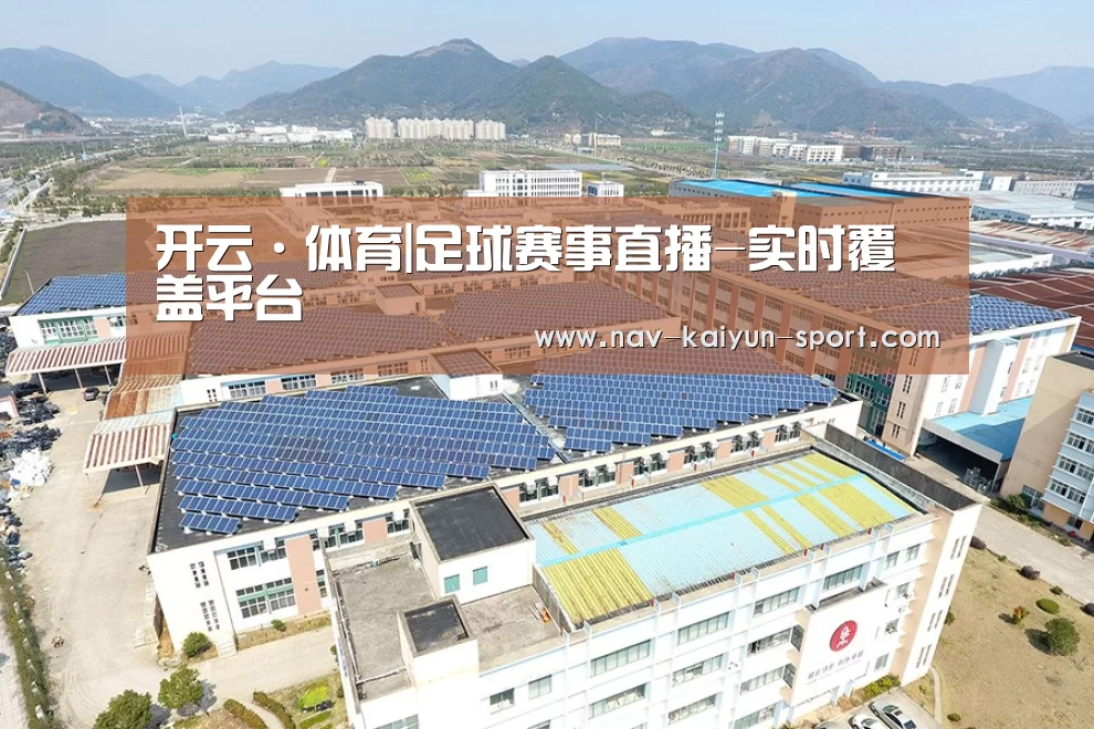 案例展示四