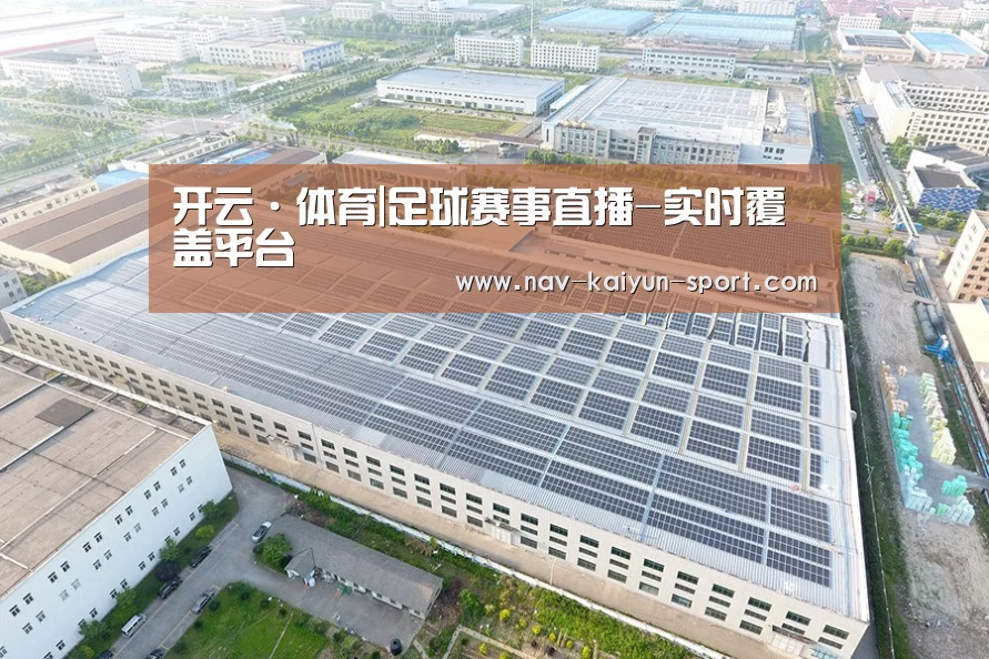 案例展示二