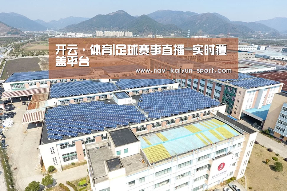 案例展示三