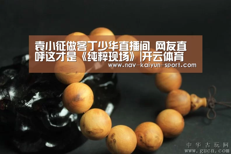 袁小征做客丁少华直播间 网友直呼这才是《纯粹现场》|开云体育(图2) 开云公司